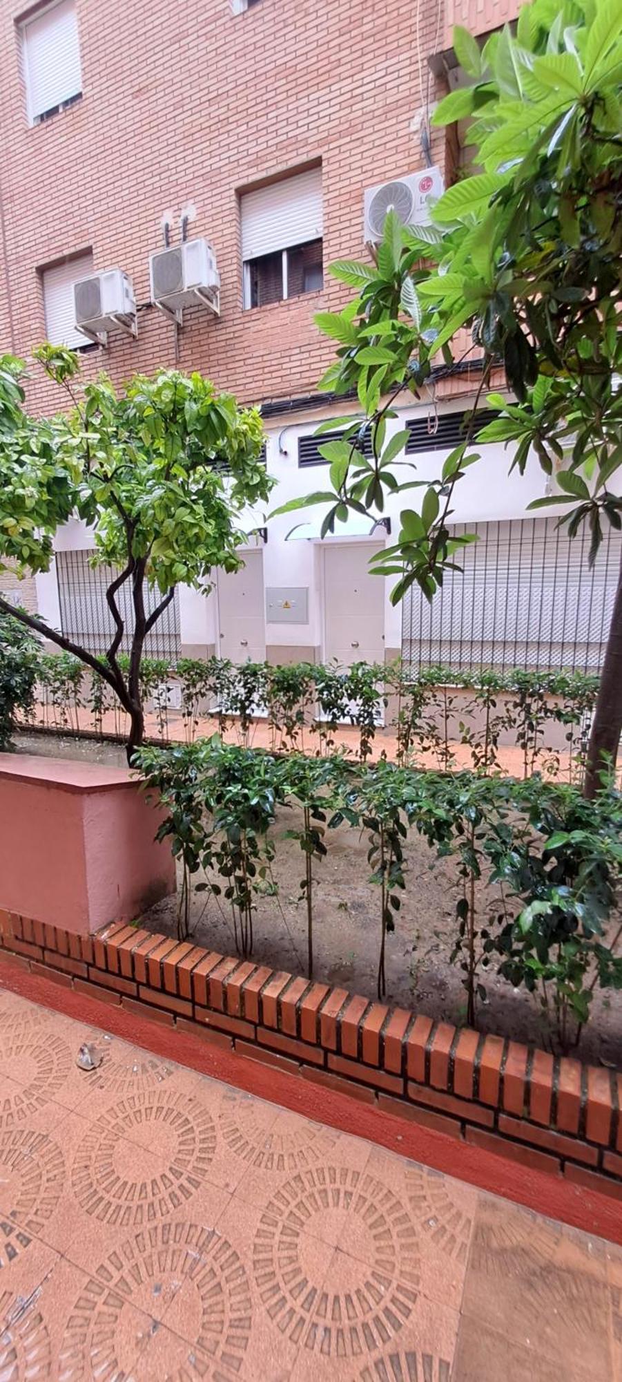 Sol Apartament