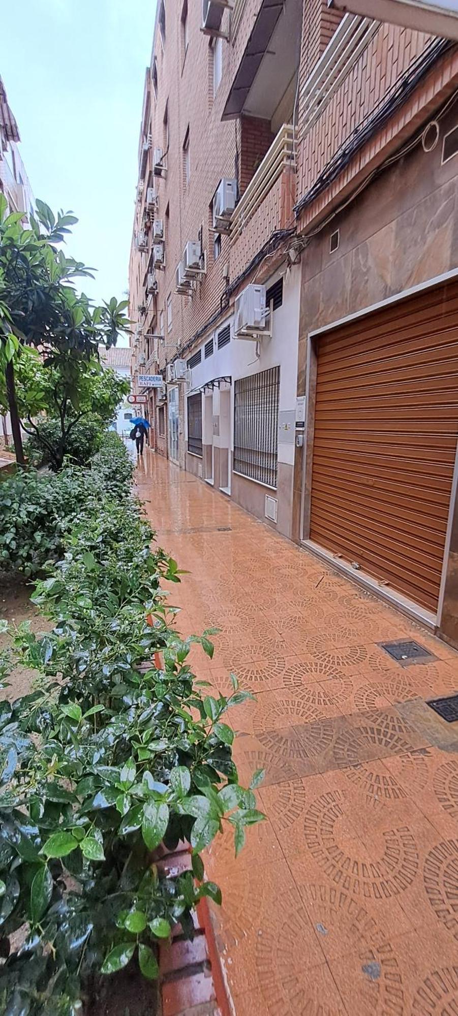 Apartament Sol *