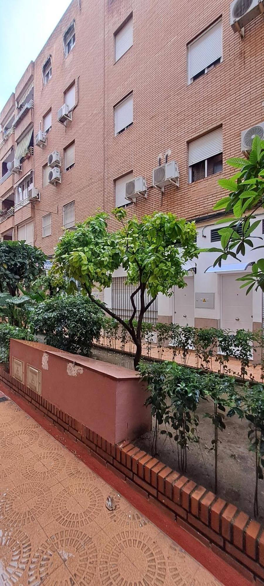 Apartament Sol *